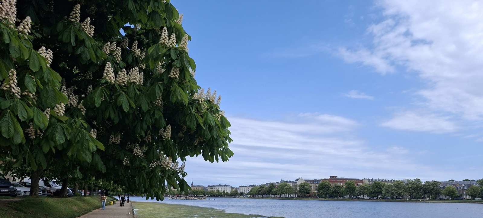 Venteværelset